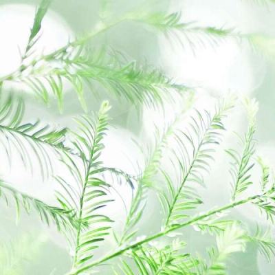 我是英雄手游下载